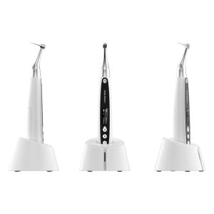 Woodpecker Ендомотор Endo Smart +